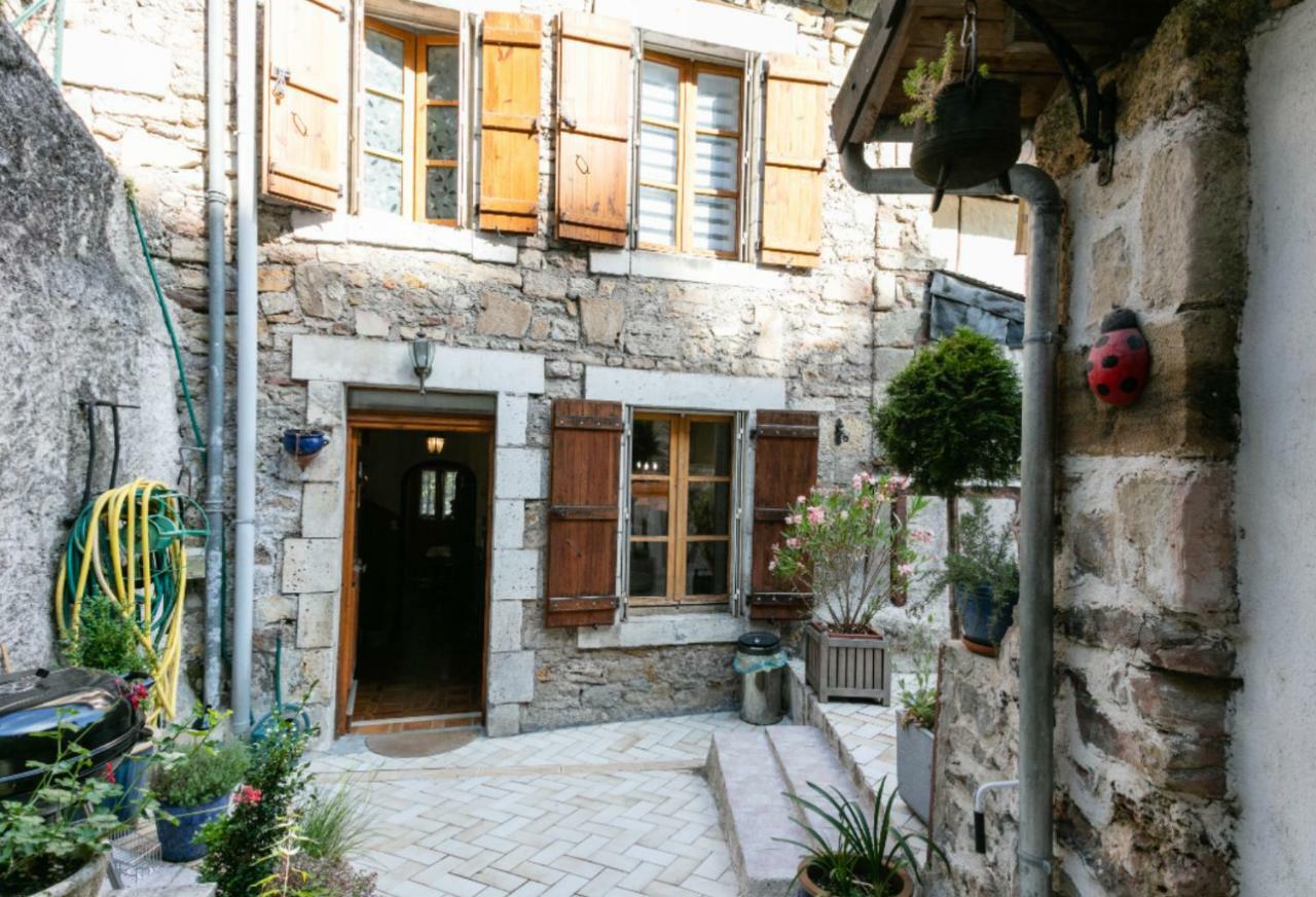 Maison Avec Patio Dans Le Centre Historique Βίλα Terrasson Εξωτερικό φωτογραφία